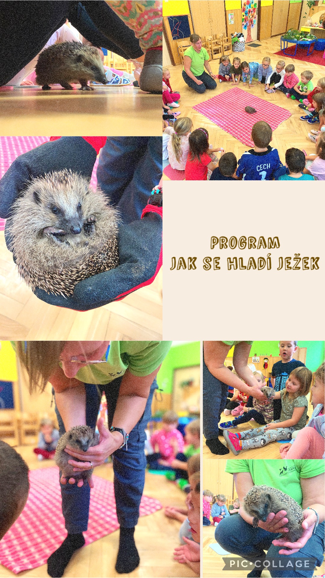 Program s ježečkem Bodlinkou :-)