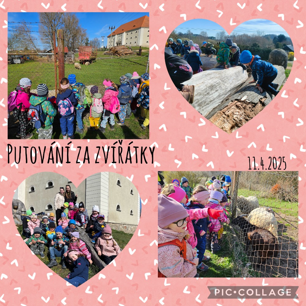 Putování za zvířátky :-)