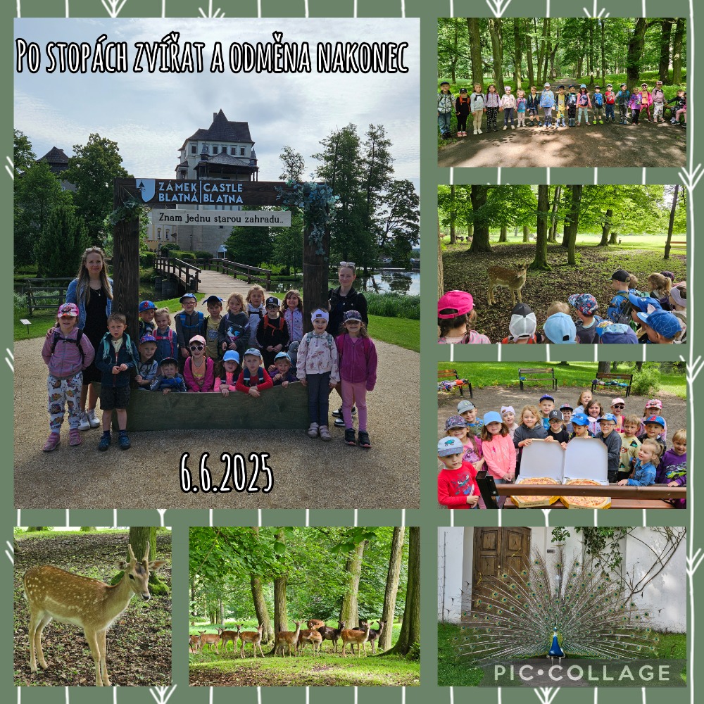 Po stopách zvířat a odměna nakonec :-)