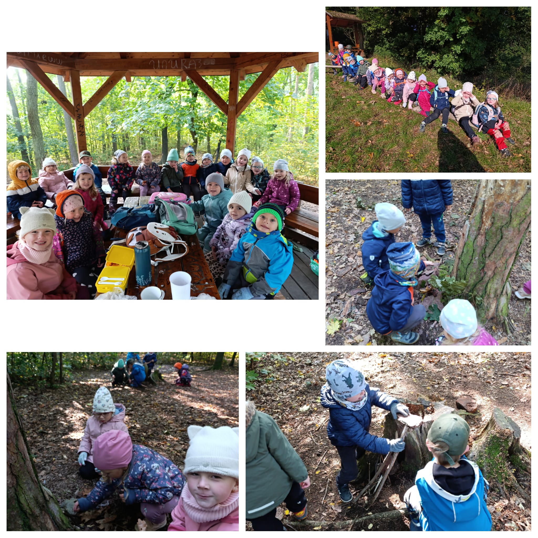 Do lesa jsme došli a klid a pohodu tam našli