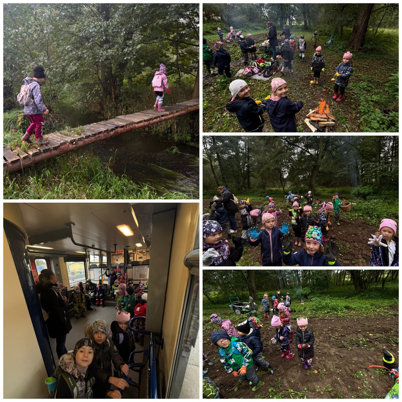 Sbírání brambor a pečení jablíček 2