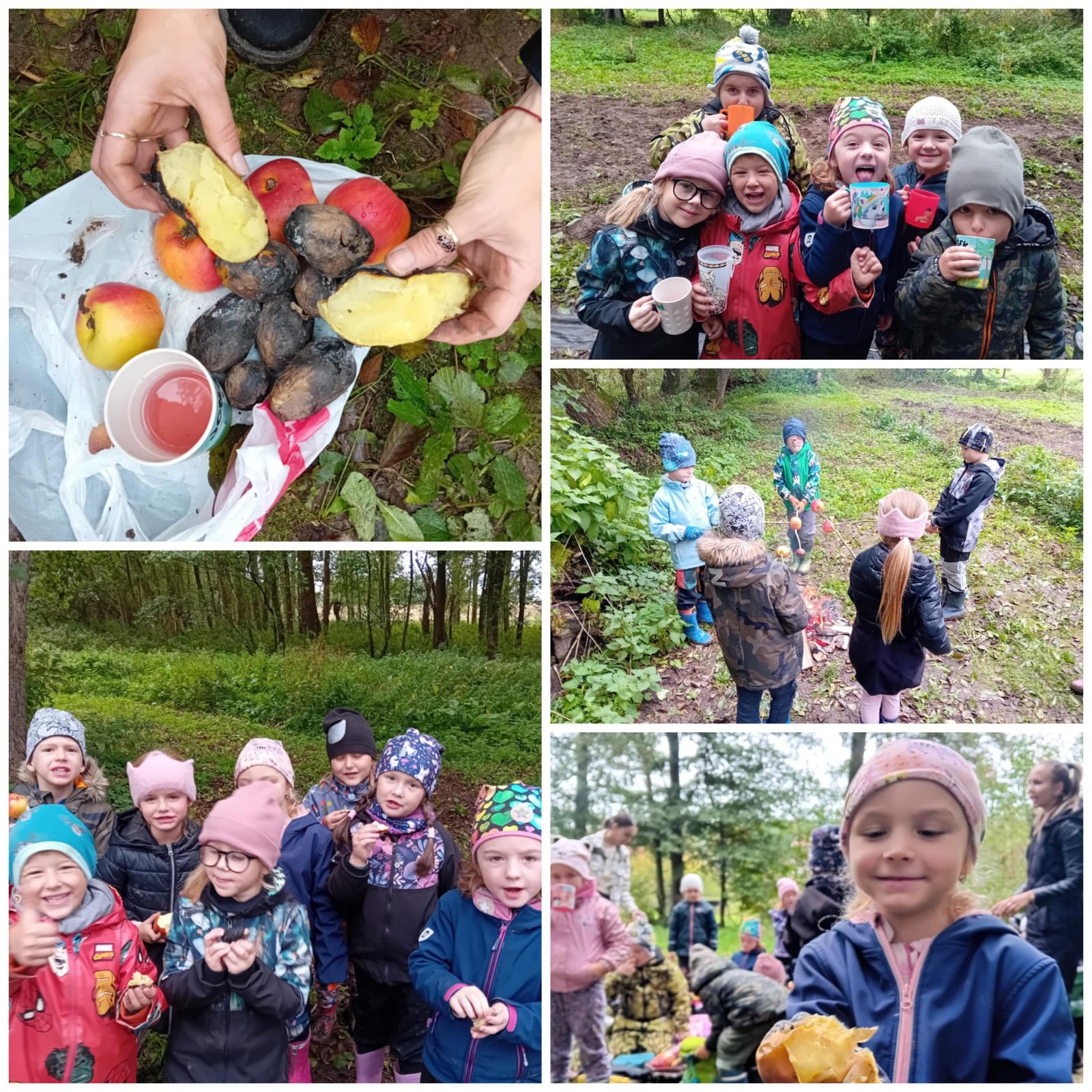 Sbírání brambor a pečení jablíček