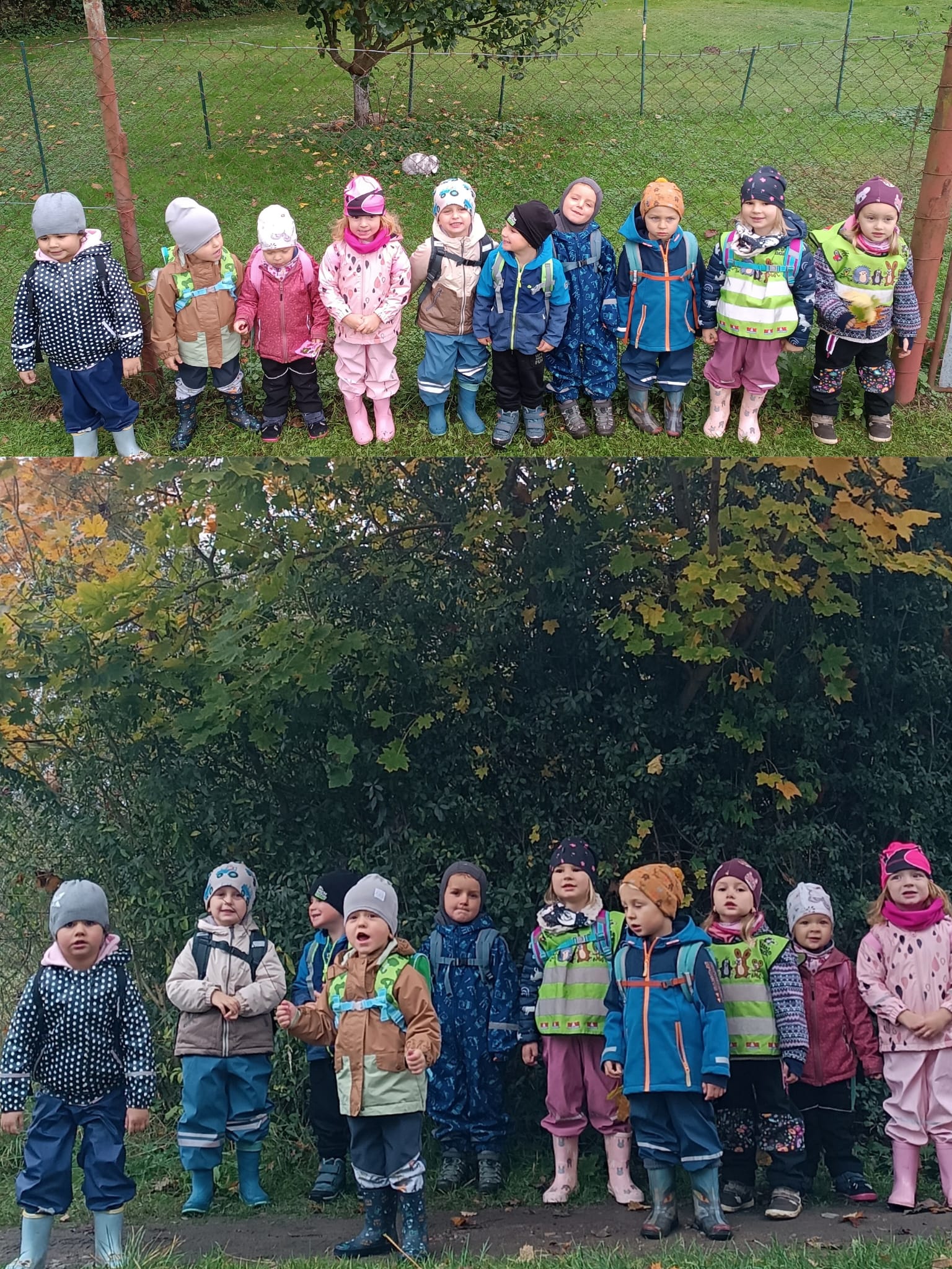 K zahrádkám jsme došli, jablíčka na stromě, mrkvičky na záhonku a králíčky našli