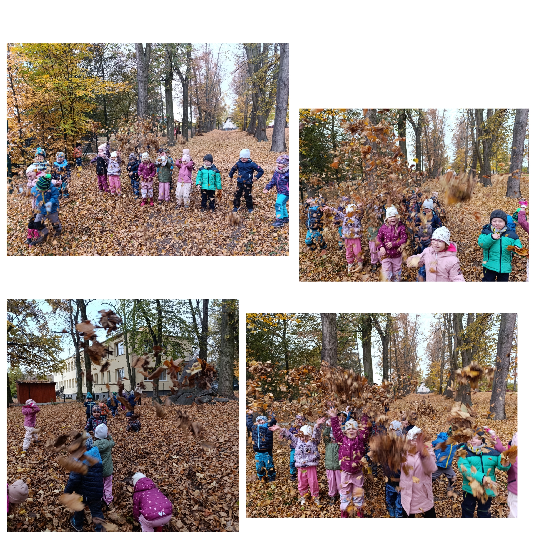 Podzim, ten nás baví 