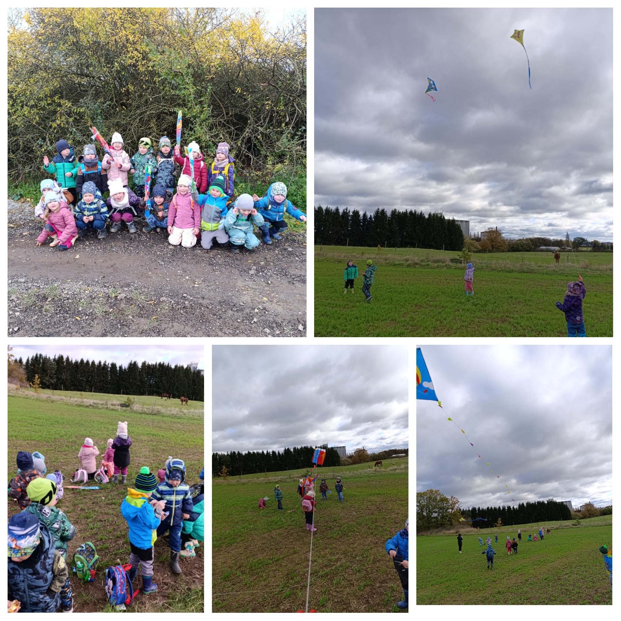 Barevní draci nad hlavou, vyhlížíme oblohu modravou